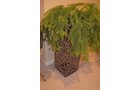 Property photo 83 - PERSONAL PROPERTY AUCTION IN ALLEN COUNTY, INDIANA